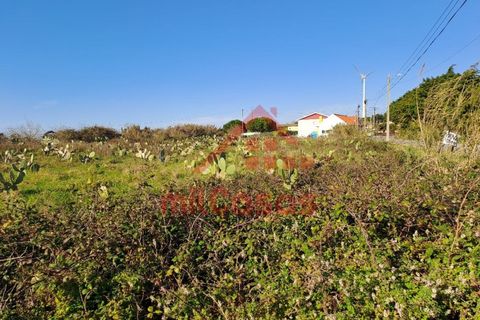 Helårsgrund i Torres Vedras, Lisbon, Torres Vedras - € 200.000 | Ref: M3112 TVD - foto 4