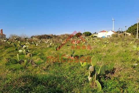 Helårsgrund i Torres Vedras, Lisbon, Torres Vedras - € 200.000 | Ref: M3112 TVD - foto 5