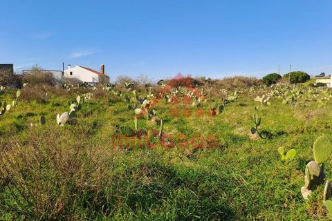 Helårsgrund i Torres Vedras, Lisbon, Torres Vedras - € 200.000 | Ref: M3112 TVD - foto 6