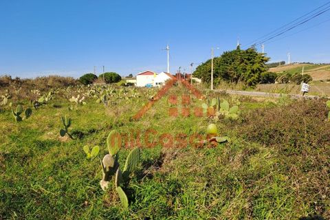 Helårsgrund i Torres Vedras, Lisbon, Torres Vedras - € 200.000 | Ref: M3112 TVD - foto 7