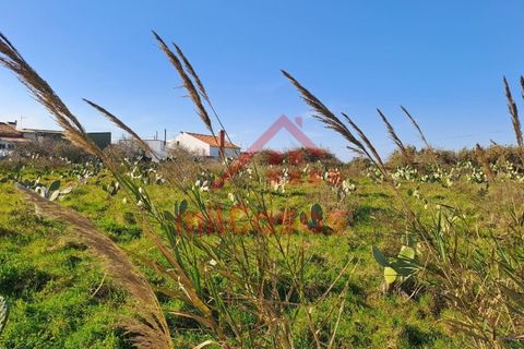 Helårsgrund i Torres Vedras, Lisbon, Torres Vedras - € 200.000 | Ref: M3112 TVD - foto 11