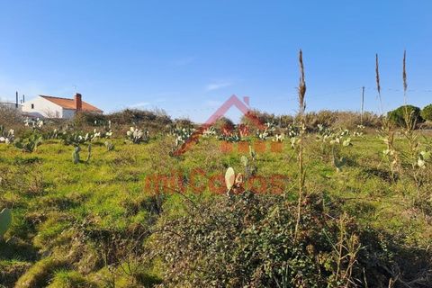 Helårsgrund i Torres Vedras, Lisbon, Torres Vedras - € 200.000 | Ref: M3112 TVD - foto 13