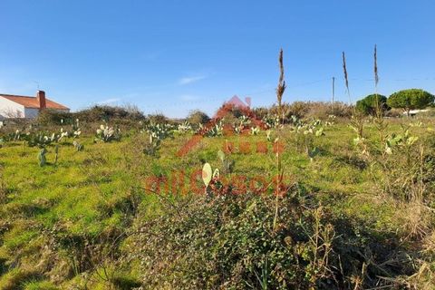 Helårsgrund i Torres Vedras, Lisbon, Torres Vedras - € 200.000 | Ref: M3112 TVD - foto 14