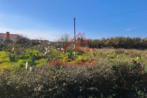 Helårsgrund i Torres Vedras, Lisbon, Torres Vedras - € 200.000 | Ref: M3112 TVD - foto 16
