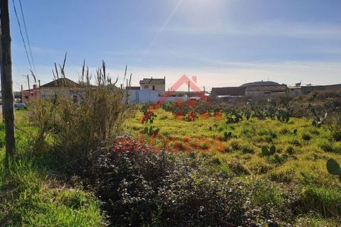 Helårsgrund i Torres Vedras, Lisbon, Torres Vedras - € 200.000 | Ref: M3112 TVD - foto 17