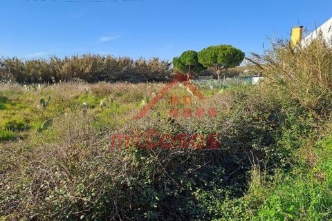 Helårsgrund i Torres Vedras, Lisbon, Torres Vedras - € 200.000 | Ref: M3112 TVD - foto 20