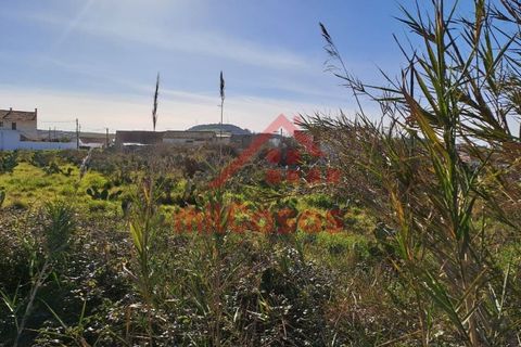 Helårsgrund i Torres Vedras, Lisbon, Torres Vedras - € 200.000 | Ref: M3112 TVD - foto 21