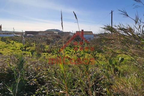 Helårsgrund i Torres Vedras, Lisbon, Torres Vedras - € 200.000 | Ref: M3112 TVD - foto 22