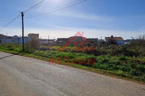 Helårsgrund i Torres Vedras, Lisbon, Torres Vedras - € 200.000 | Ref: M3112 TVD - foto 23