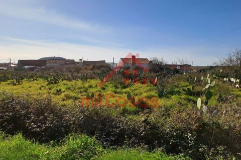 Helårsgrund i Torres Vedras, Lisbon, Torres Vedras - € 200.000 | Ref: M3112 TVD - foto 24