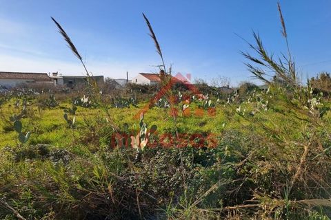 Helårsgrund i Torres Vedras, Lisbon, Torres Vedras - € 200.000 | Ref: M3112 TVD - foto 25