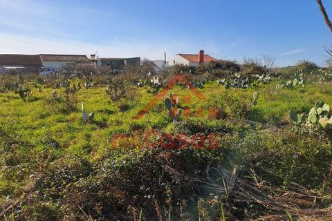 Helårsgrund i Torres Vedras, Lisbon, Torres Vedras - € 200.000 | Ref: M3112 TVD - foto 26