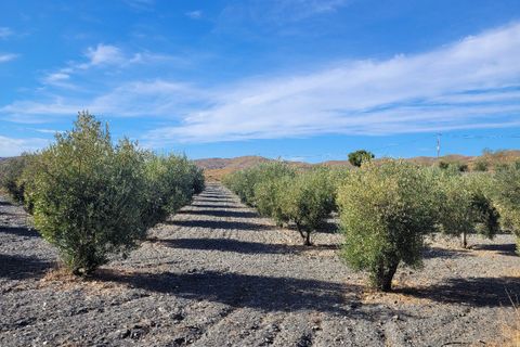 Landejendom i Senes, Almeria, Senes - € 104.000 | Ref: SEN340 - foto 23
