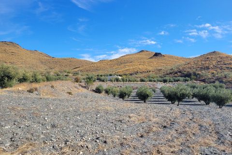 Landejendom i Senes, Almeria, Senes - € 104.000 | Ref: SEN340 - foto 25