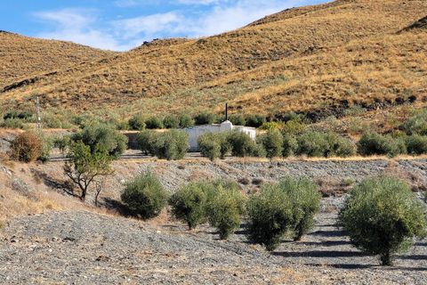 Landejendom i Senes, Almeria, Senes - € 104.000 | Ref: SEN340 - foto 26