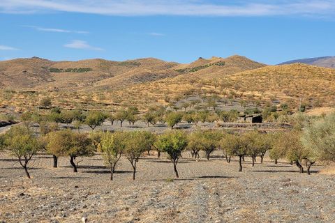Landejendom i Senes, Almeria, Senes - € 104.000 | Ref: SEN340 - foto 27
