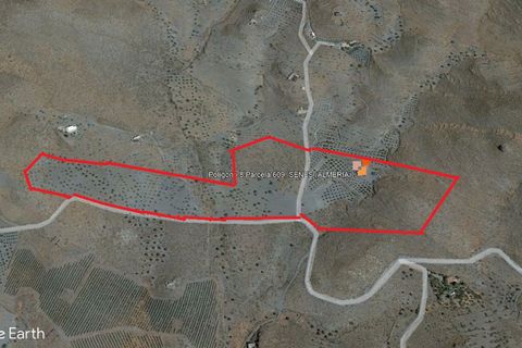 Landejendom i Senes, Almeria, Senes - € 104.000 | Ref: SEN340 - foto 35