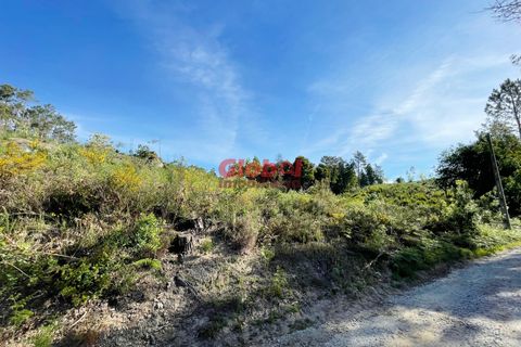Helårsgrund i Viseu, Viseu, Viseu - € 25.000 | Ref: 189232080 - foto 2