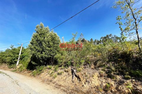 Helårsgrund i Viseu, Viseu, Viseu - € 25.000 | Ref: 189232080 - foto 3