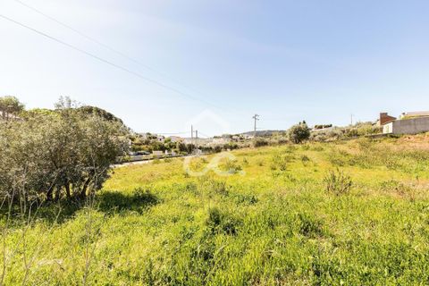 Terra a Redondo, Evora, Redondo - € 175.000 | Ref: 318/T/03136 - foto 10