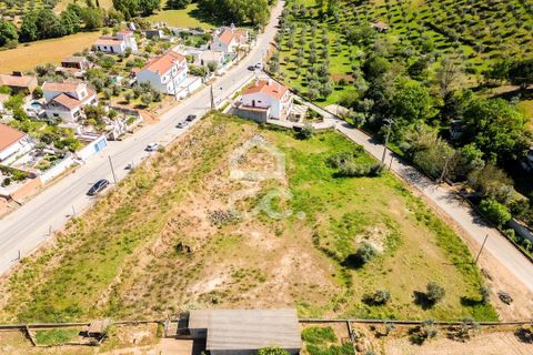 Terra a Redondo, Evora, Redondo - € 175.000 | Ref: 318/T/03136 - foto 3