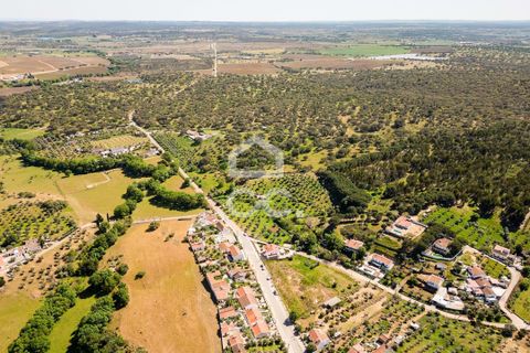 Terra a Redondo, Evora, Redondo - € 175.000 | Ref: 318/T/03136 - foto 11