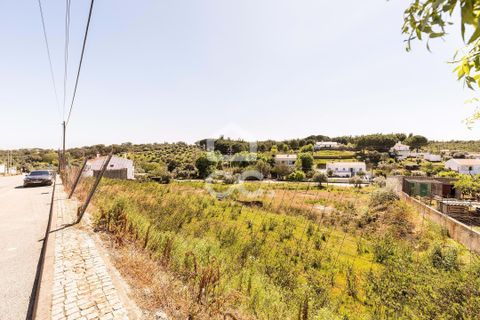Terra a Redondo, Evora, Redondo - € 175.000 | Ref: 318/T/03136 - foto 6