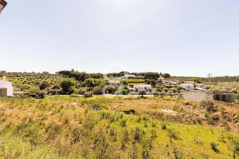 Terra a Redondo, Evora, Redondo - € 175.000 | Ref: 318/T/03136 - foto 12