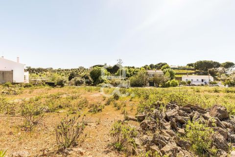 Terra a Redondo, Evora, Redondo - € 175.000 | Ref: 318/T/03136 - foto 13