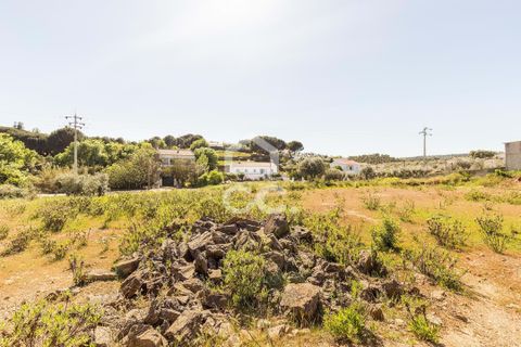 Terra a Redondo, Evora, Redondo - € 175.000 | Ref: 318/T/03136 - foto 14