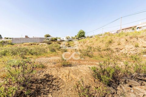 Terra a Redondo, Evora, Redondo - € 175.000 | Ref: 318/T/03136 - foto 15
