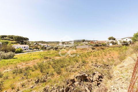 Terra a Redondo, Evora, Redondo - € 175.000 | Ref: 318/T/03136 - foto 16