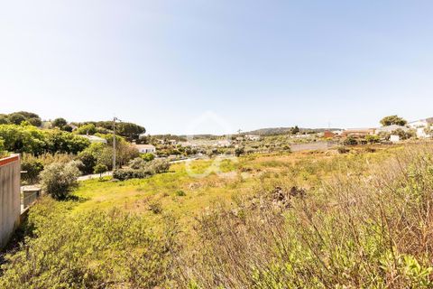 Terra a Redondo, Evora, Redondo - € 175.000 | Ref: 318/T/03136 - foto 17