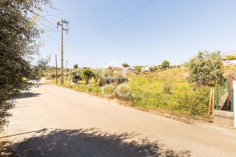 Terra a Redondo, Evora, Redondo - € 175.000 | Ref: 318/T/03136 - foto 18