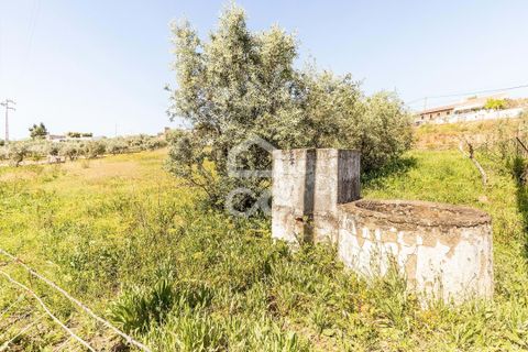 Terra a Redondo, Evora, Redondo - € 175.000 | Ref: 318/T/03136 - foto 19