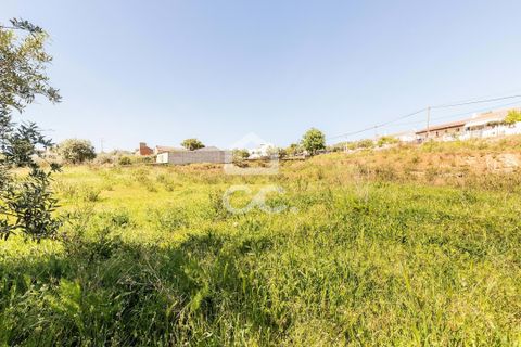 Terra a Redondo, Evora, Redondo - € 175.000 | Ref: 318/T/03136 - foto 20