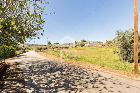 Terra a Redondo, Evora, Redondo - € 175.000 | Ref: 318/T/03136 - foto 21