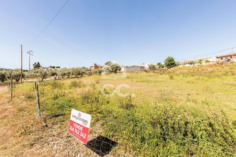 Terra a Redondo, Evora, Redondo - € 175.000 | Ref: 318/T/03136 - foto 22
