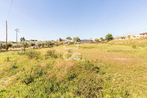 Terra a Redondo, Evora, Redondo - € 175.000 | Ref: 318/T/03136 - foto 23