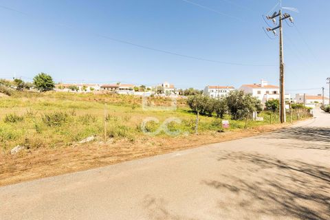 Terra a Redondo, Evora, Redondo - € 175.000 | Ref: 318/T/03136 - foto 24