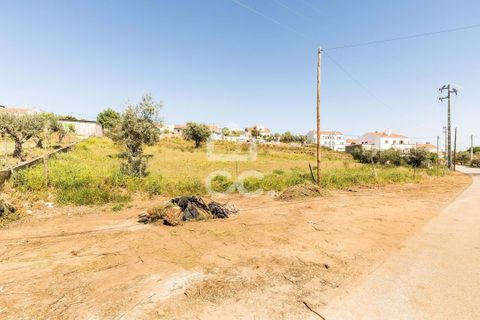 Terra a Redondo, Evora, Redondo - € 175.000 | Ref: 318/T/03136 - foto 25