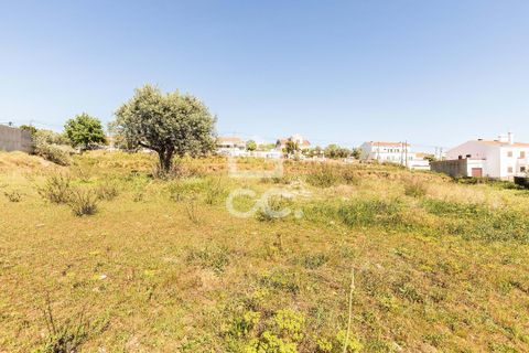 Terra a Redondo, Evora, Redondo - € 175.000 | Ref: 318/T/03136 - foto 27