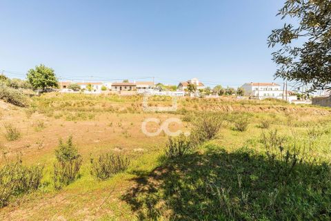 Terra a Redondo, Evora, Redondo - € 175.000 | Ref: 318/T/03136 - foto 28