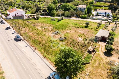 Terra a Redondo, Evora, Redondo - € 175.000 | Ref: 318/T/03136 - foto 5