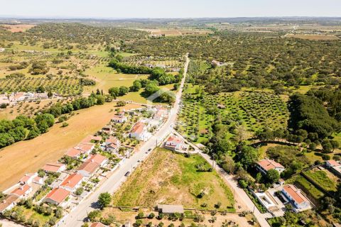 Terra a Redondo, Evora, Redondo - € 175.000 | Ref: 318/T/03136 - foto 30