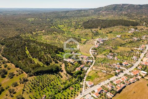 Terra a Redondo, Evora, Redondo - € 175.000 | Ref: 318/T/03136 - foto 31