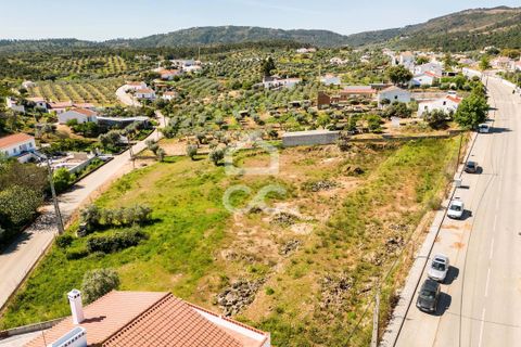 Terra a Redondo, Evora, Redondo - € 175.000 | Ref: 318/T/03136 - foto 32