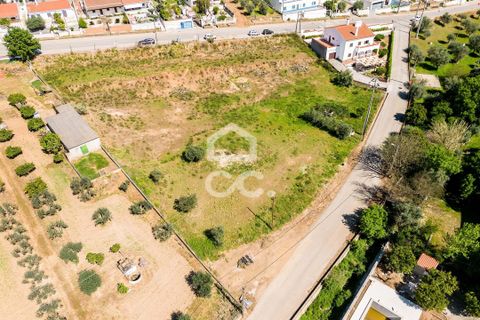 Terra a Redondo, Evora, Redondo - € 175.000 | Ref: 318/T/03136 - foto 4