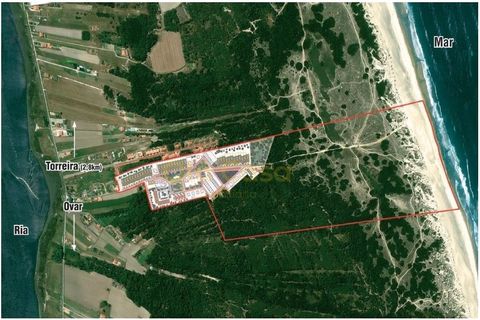 Helårsgrund i Torreira, Aveiro, Torreira - € 80.000 | Ref: OC_400_4G - foto 3
