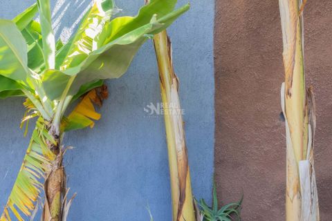 Villa i Calheta, Madeira, Calheta - € 1.195.000 | Ref: 071702 - foto 26